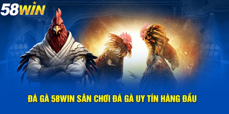 58WIN đá gà