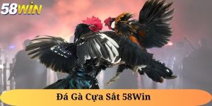 Đá Gà Cựa Sắt